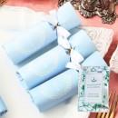 プチギフト　リュミエール　サムシングブルー　(入浴剤)