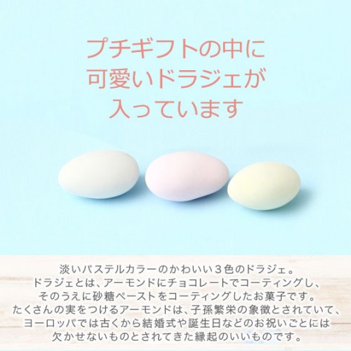 サンライズシェル プチギフト