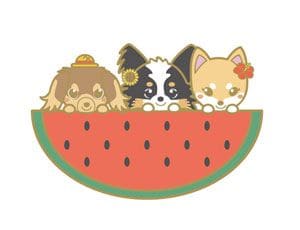 招待状 ひまわり