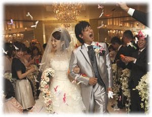 芳名帳(ゲストカード)リフィル エターナル アイビー 10枚1セット