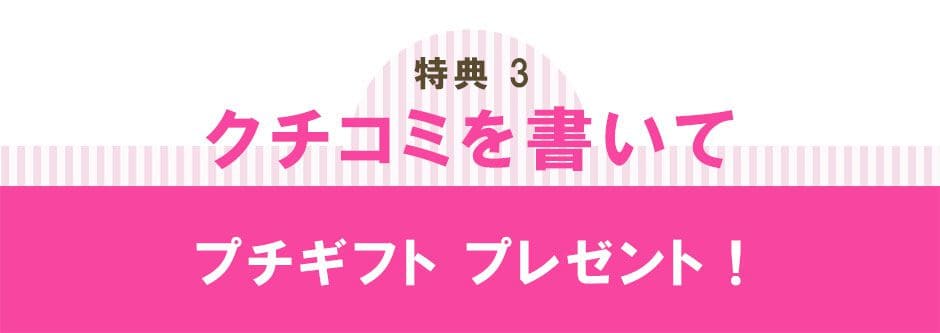 クチコミを書くと、プレゼント