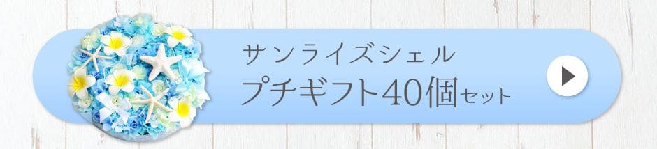 サンライズシェルプチギフト40個セット