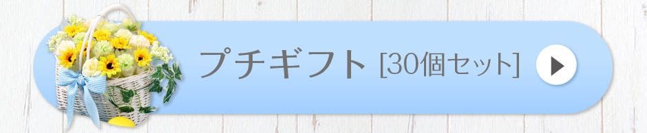 プチギフト[30個セット]