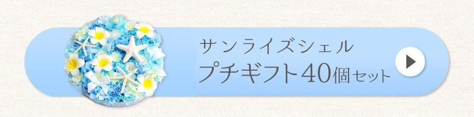 サンライズシェル プチギフト40個セット