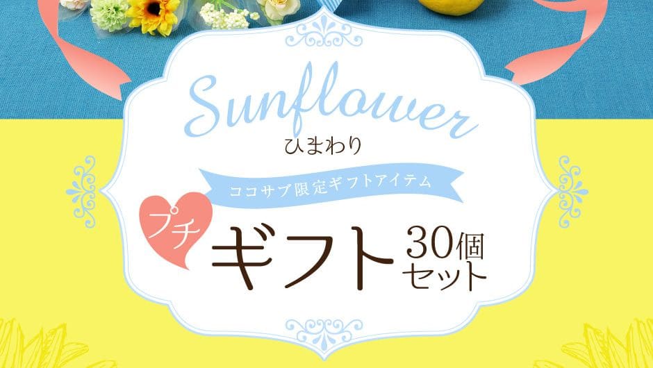 ひまわりプチギフト30個セット