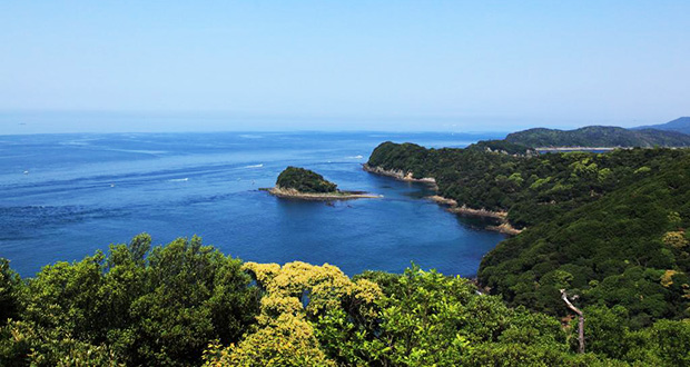 和歌山県の結婚式